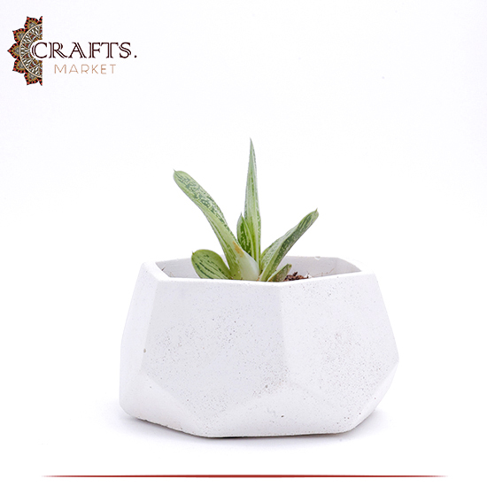 Handmade White Concrete Planted Hexagon Pot Handmade White Concrete Planted Hexagon Pot