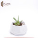 Handmade White Concrete Planted Hexagon Pot Handmade White Concrete Planted Hexagon Pot