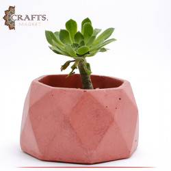 Handmade Brick Concrete Planted Octagon Pot