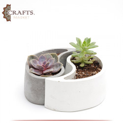 Handmade Duo Color Concrete Planted Yin Yang Pot Set, 2PCs