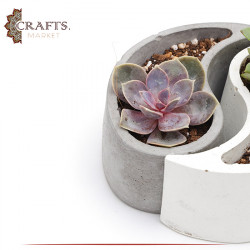 Handmade Duo Color Concrete Planted Yin Yang Pot Set, 2PCs