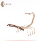 Handmade Rope Table Décor in a  Scorpion  Design