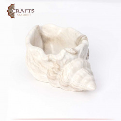 A shell shape in white and brown